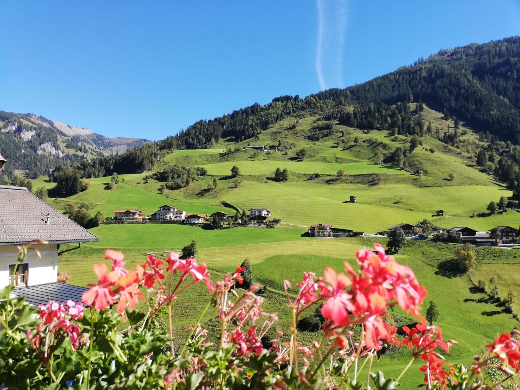 Schaidreithof