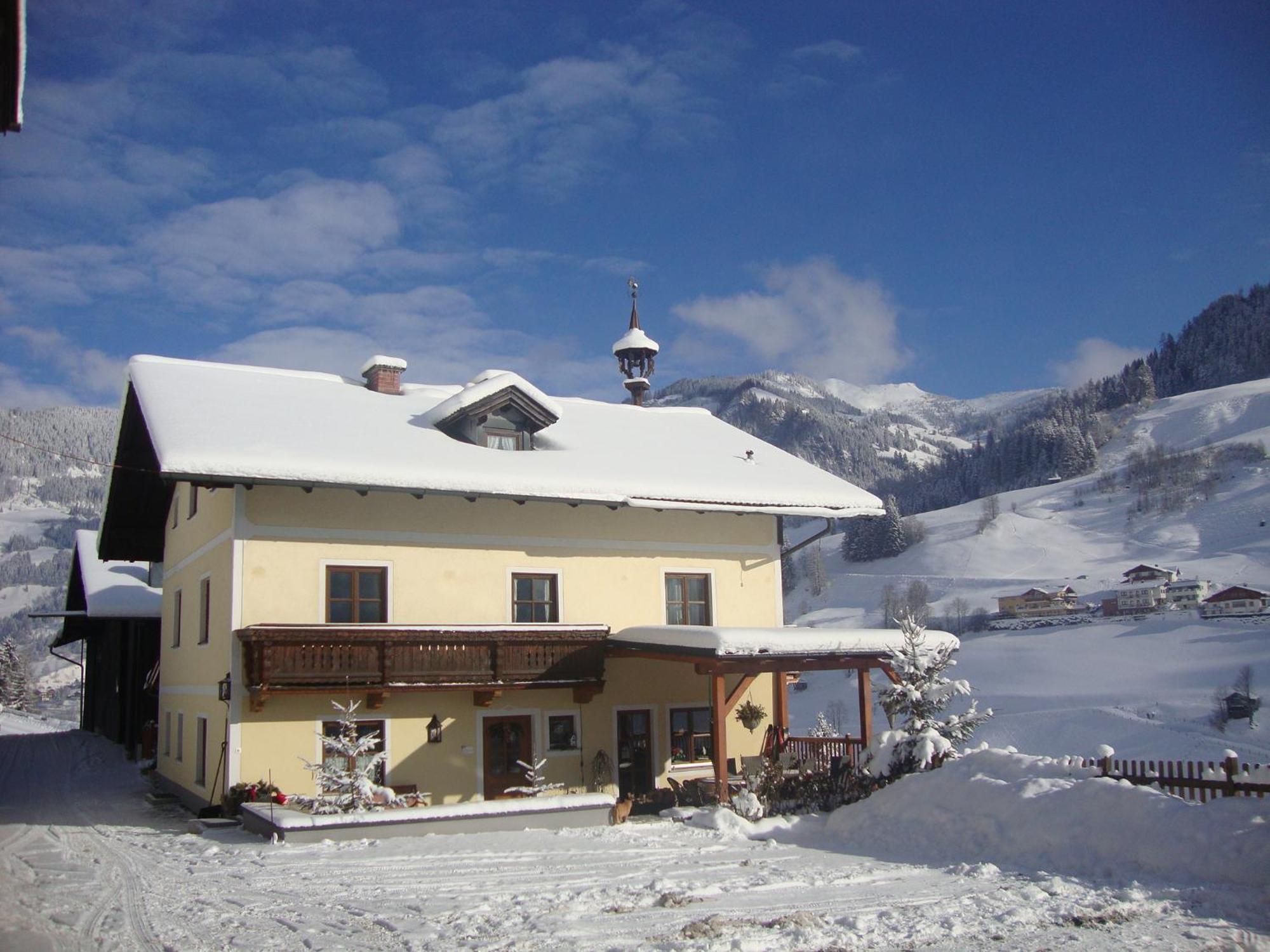 Schaidreithof Apartment *