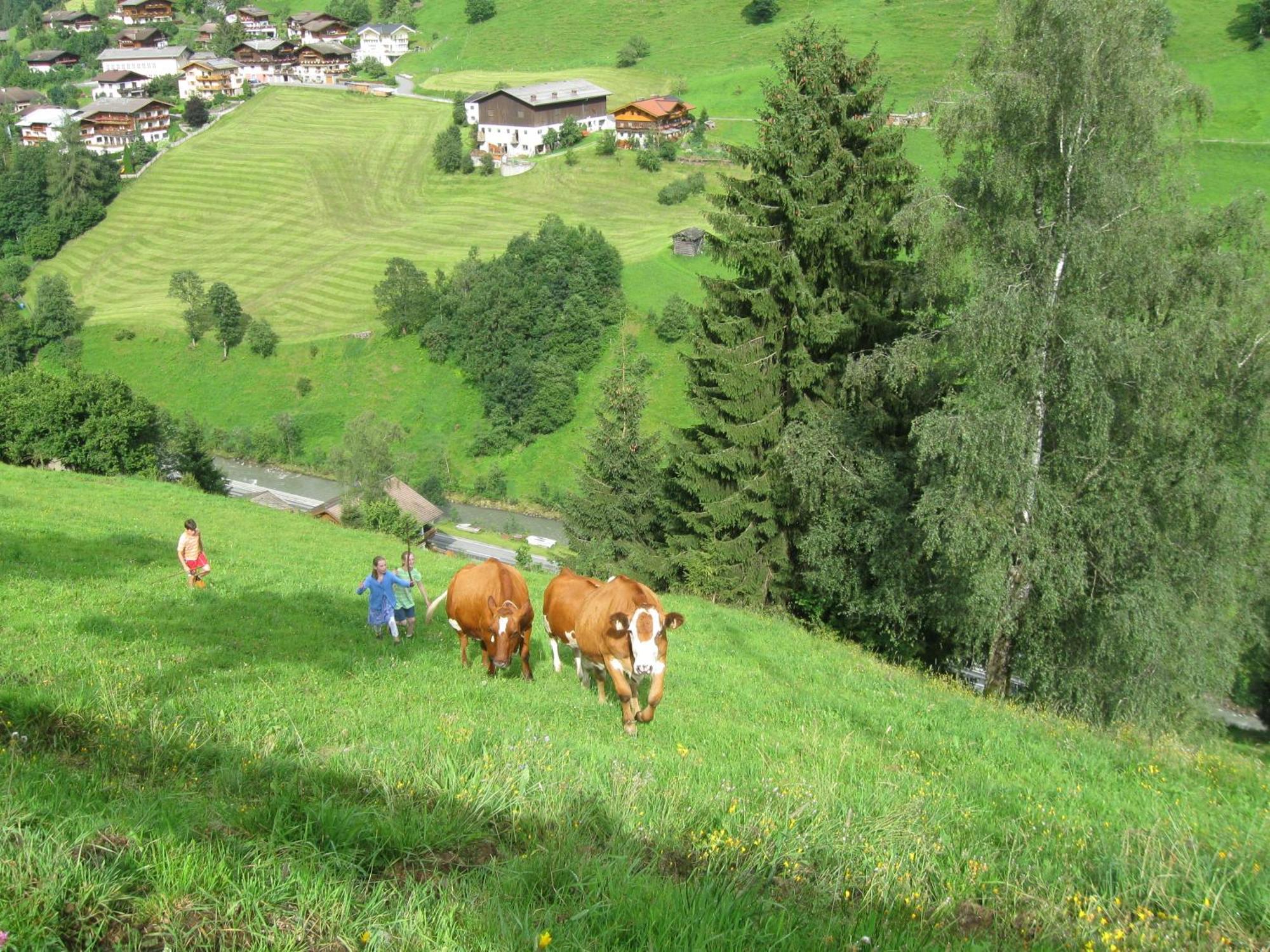 Schaidreithof *