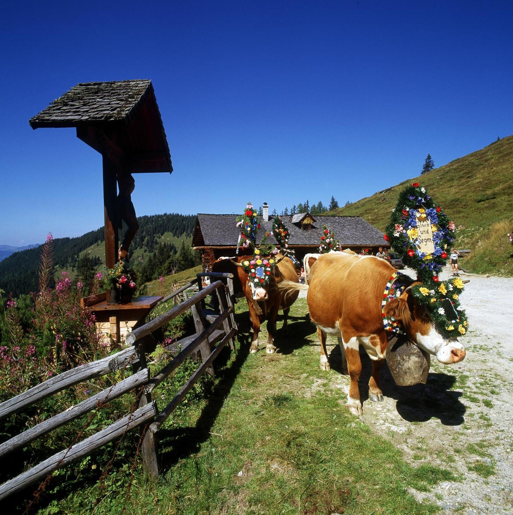 Schaidreithof * Großarl