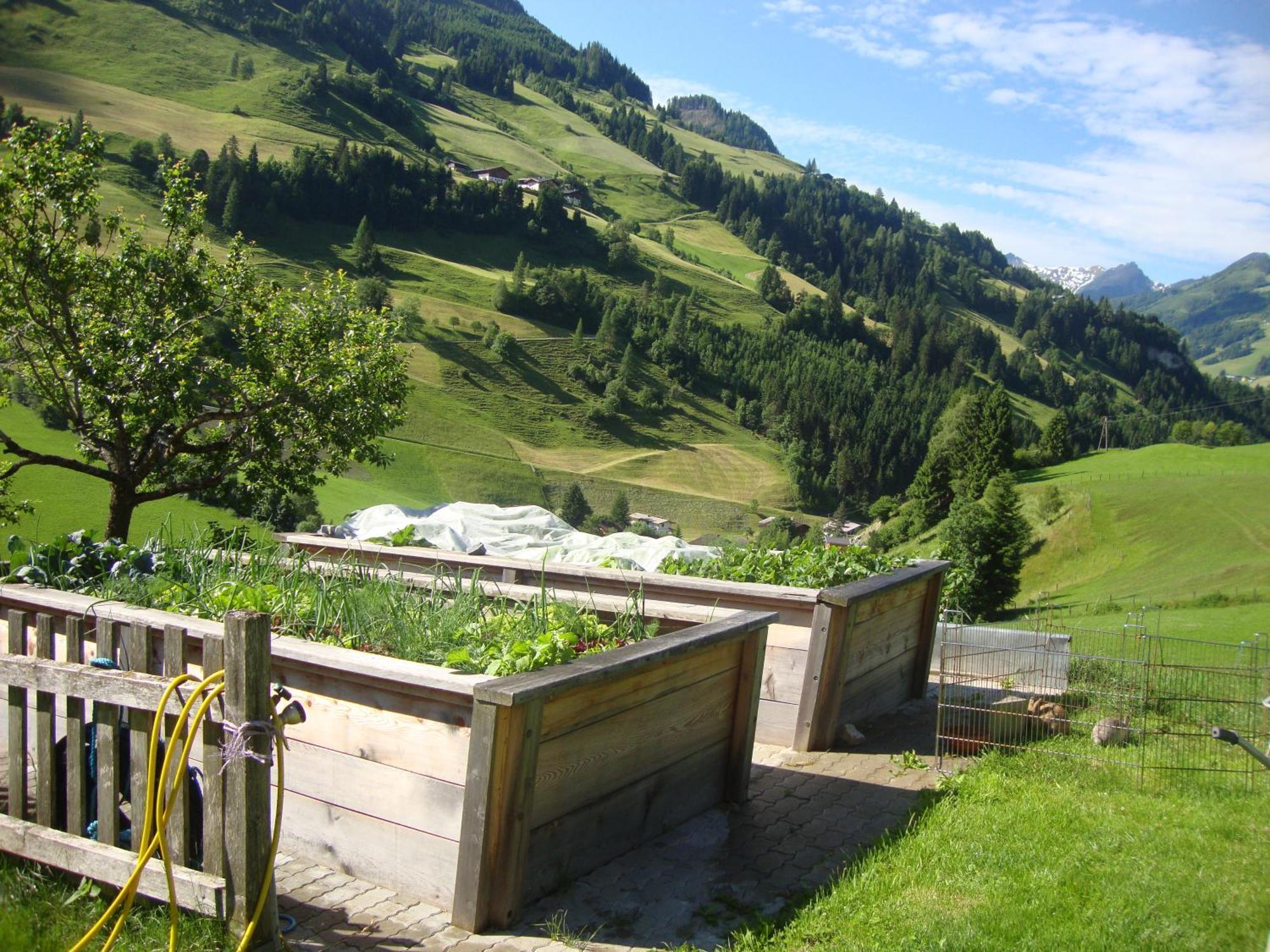Apartment Schaidreithof Großarl